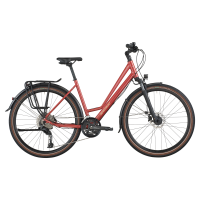 Bergamont Vitess 30 Amsterdam