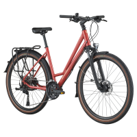 Bergamont Vitess 30 Amsterdam