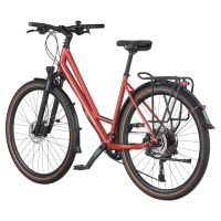 Bergamont Vitess 30 Amsterdam