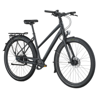 Bergamont Vitess 20 rigid Slope