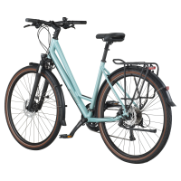 Bergamont Vitess 50 Amsterdam